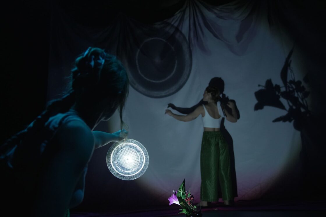 Un gira-sol entre la polseguera